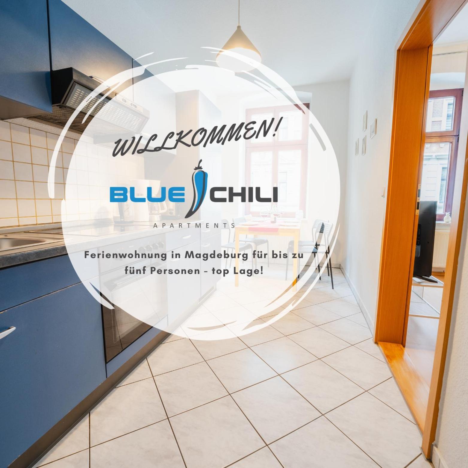 Blue Chili 08 - Magdeburg 2-Zimmer Altbau, Wi-Fi, 5 Pax Esterno foto